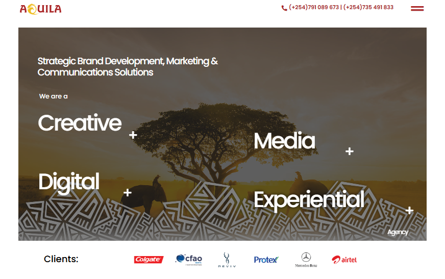 Aquila East Africa’s landing page highlighting key services and features.